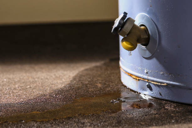 Best Water damage cleanup near me  in North Sarasota, FL