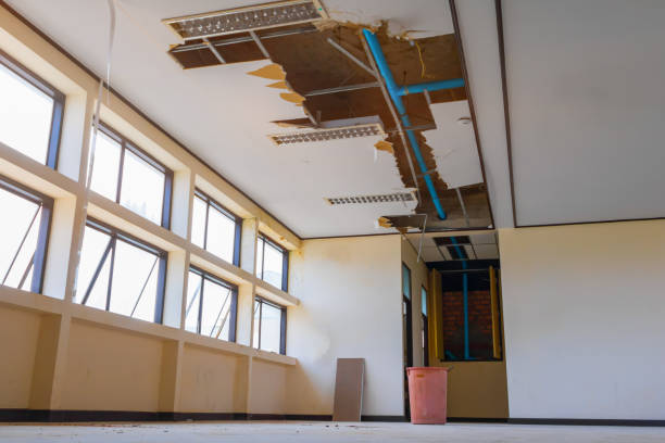 Best Water damage restoration near me  in North Sarasota, FL