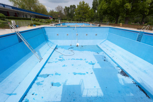 Best 24/7 water damage repair  in North Sarasota, FL