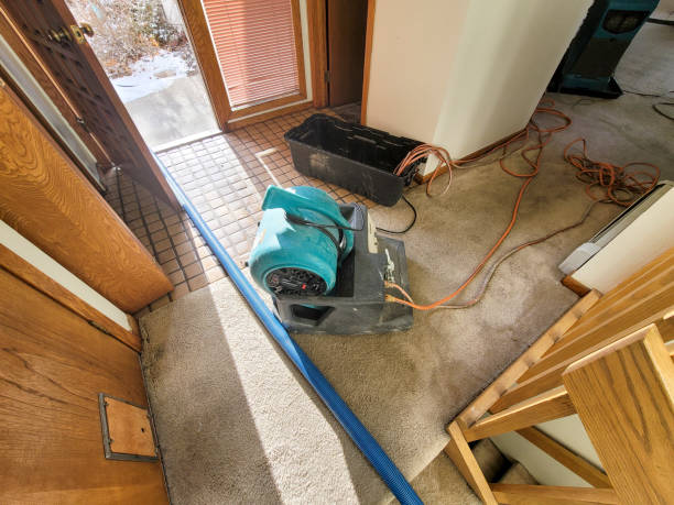 Best Water damage contractors near me  in North Sarasota, FL