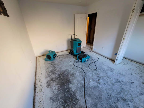 Best Commercial water damage restoration  in North Sarasota, FL