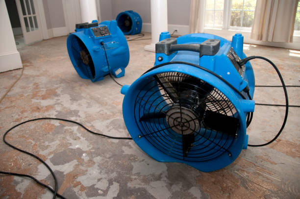 Best Ceiling water damage repair  in North Sarasota, FL