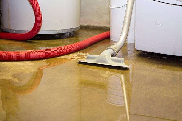 Best Sewage cleanup and water damage restoration  in North Sarasota, FL