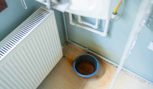  North Sarasota, FL Water damage restoration Pros