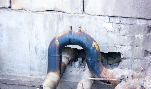 Best Water damage cleanup near me  in North Sarasota, FL