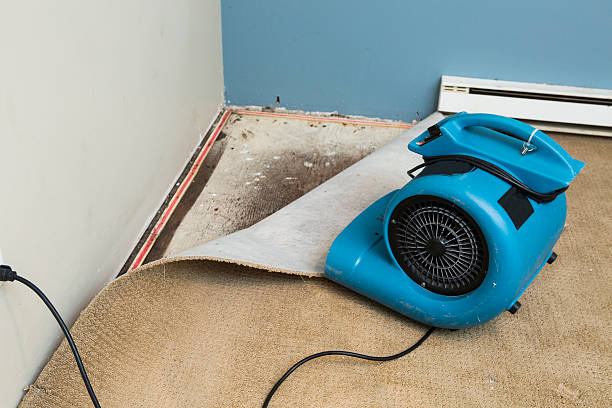 Best Water damage restoration near me  in North Sarasota, FL
